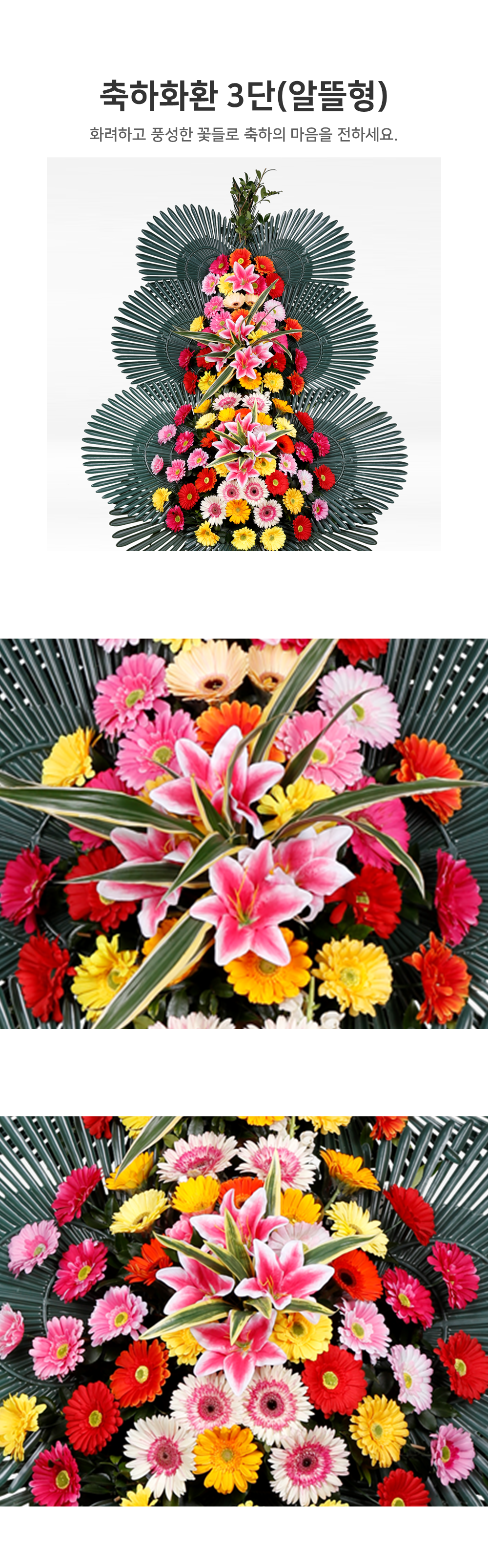 1.PNG